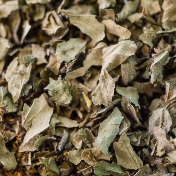 Alchémille* Bio Parties Aériennes